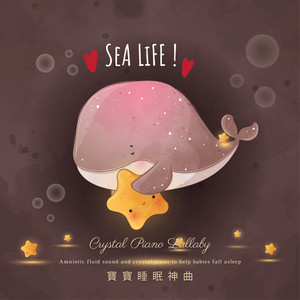 抖音网红露点走光在线观看
