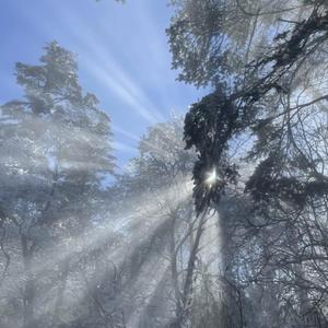 抖音网红露点走光在线观看
