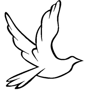 抖音网红露点走光在线观看
